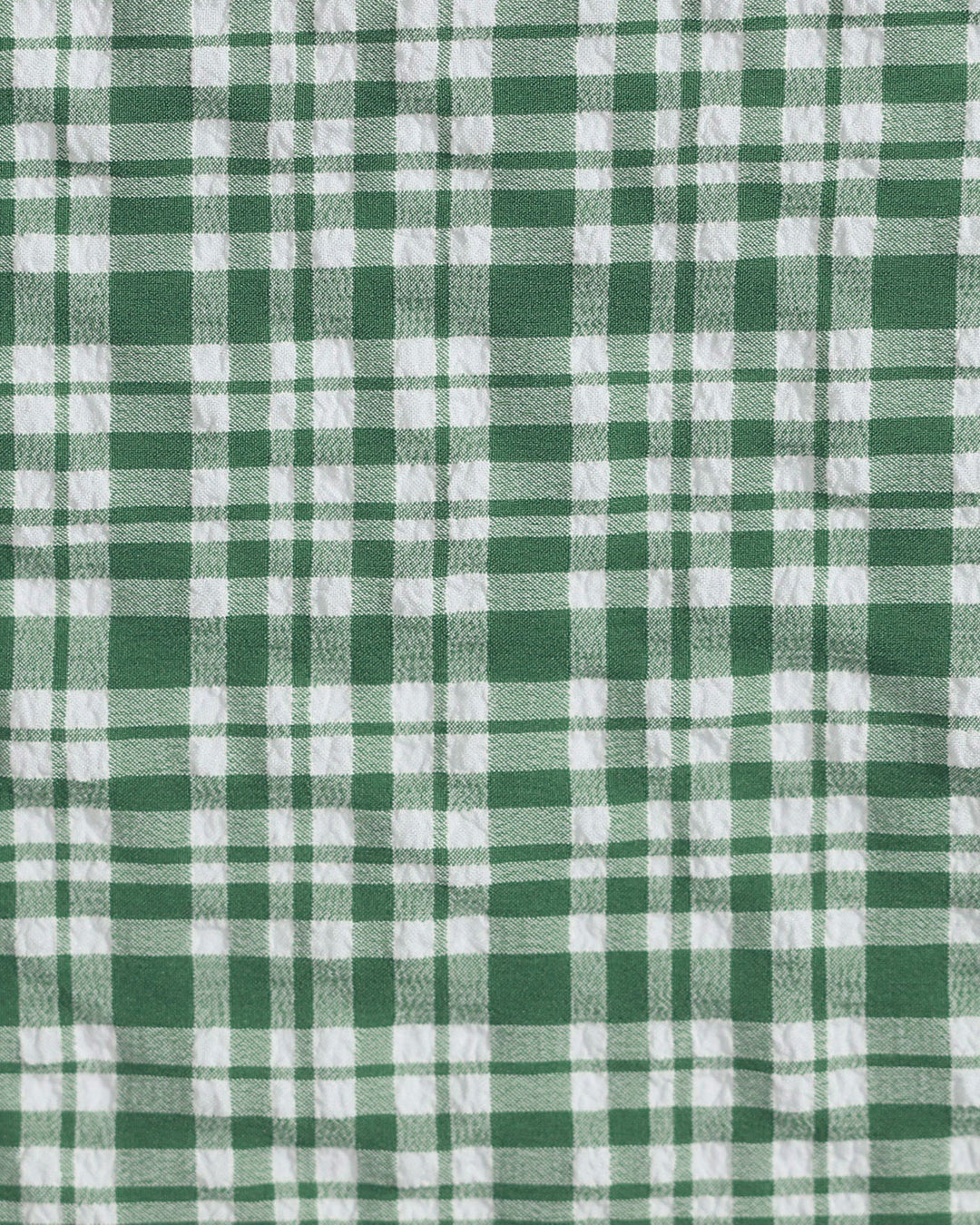 Clara & Sophia | Plaid Drawstring Bikini Set for Women in Green